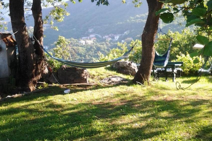 "Hrabri Vuk" mit Garten und Terrasse - foto 9