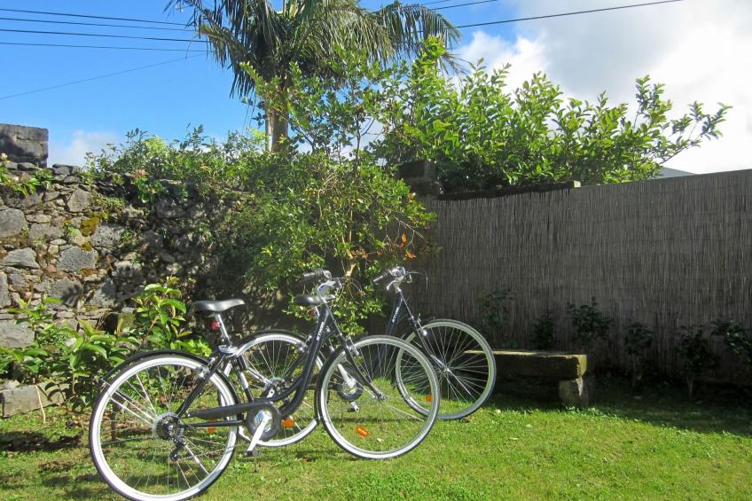 in Furnas mit Terrasse, Garten und Grill - foto 18