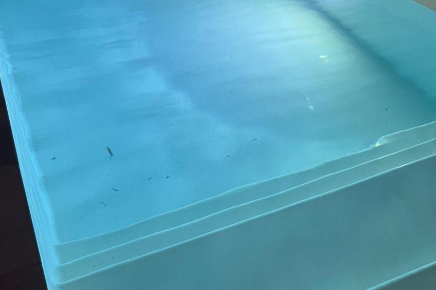 Villa 3 Schlafzimmer beheizter Pool privater Jacuzzi - foto 7