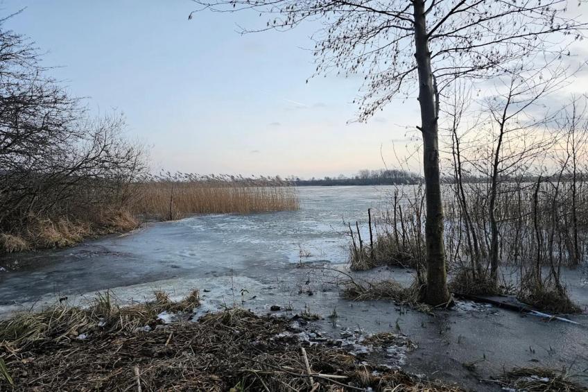 Am Gänsegarten - XL - foto 30