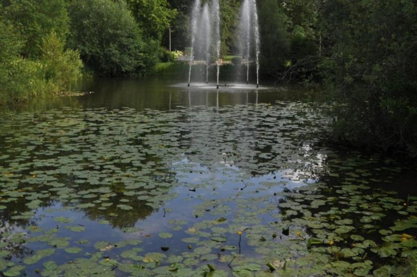 Rosalie - Ruhig - Zentral - Hochwertig - foto 23