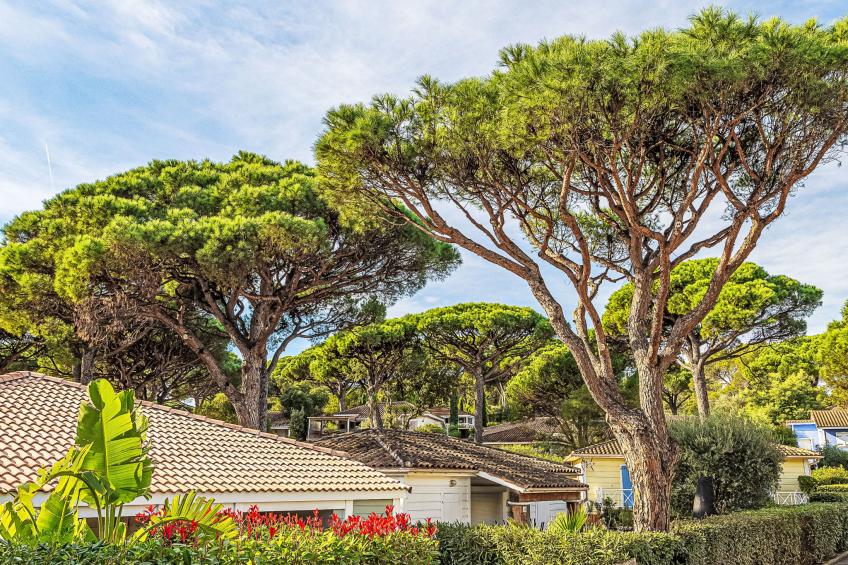 Parc Oasis - foto 19