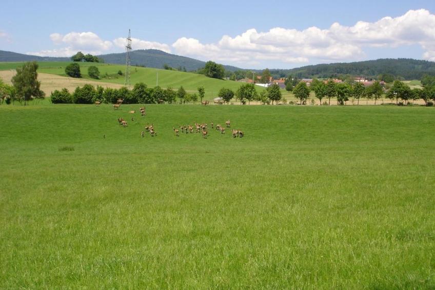 Marco in Eppenschlag - foto 28