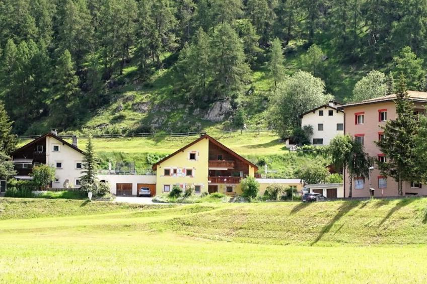 Ers Curtins - foto 28