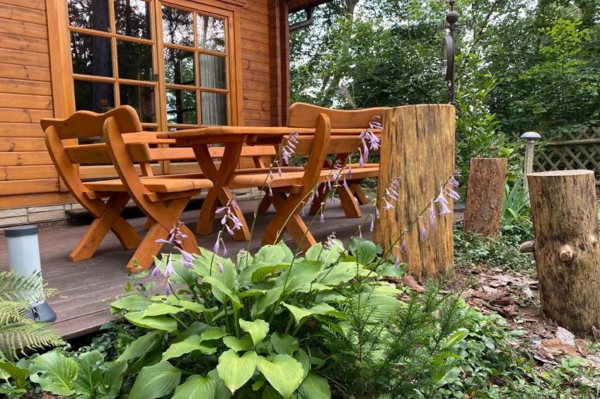 WaldhausEichhörnchen - foto 24