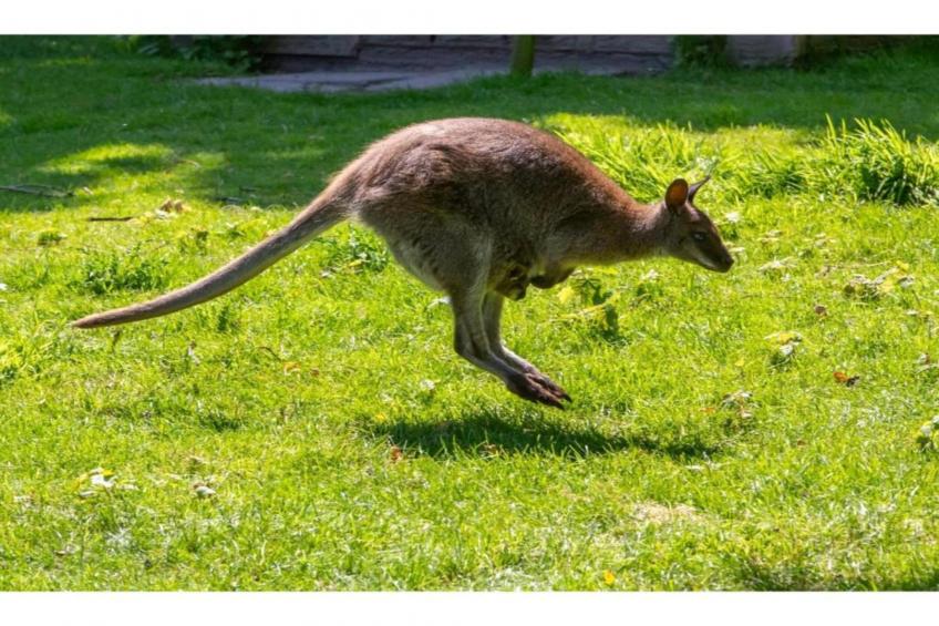 Kon Emmaweg 26 Vrouwenpolder 2p - foto 18