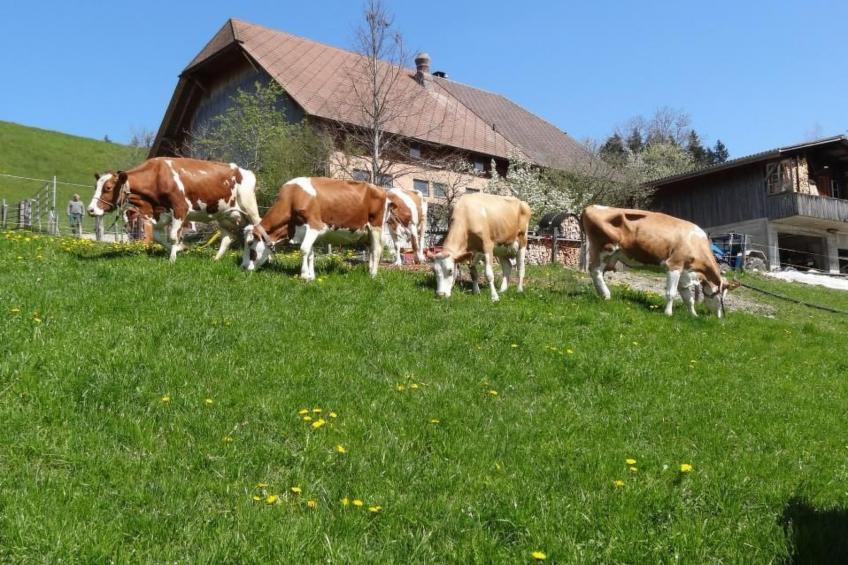 Bauernhof Gerber - foto 20