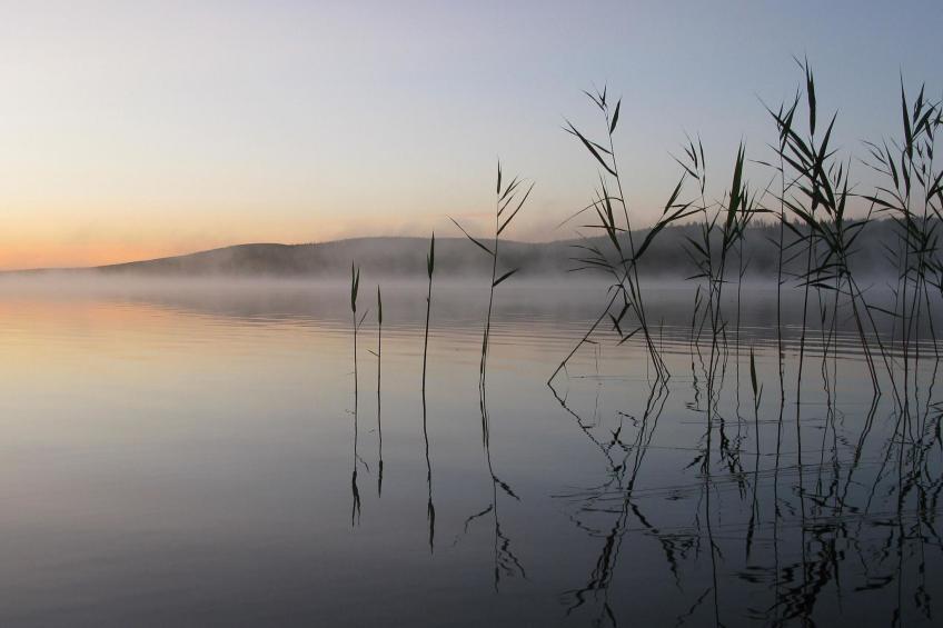 Teppolan rinne - foto 28