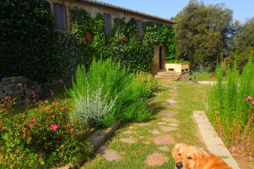 mit Privatpool für 14 Personen ca. 260 m² in Trequanda, Toskana (Provinz S - foto 9