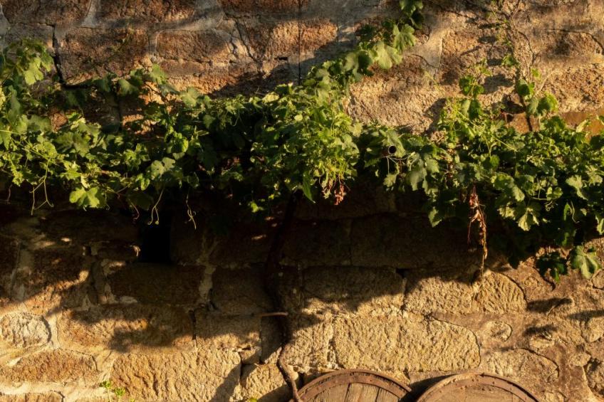 mit Wasserblick - foto 27