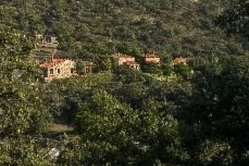 La Cigüeña - foto 8