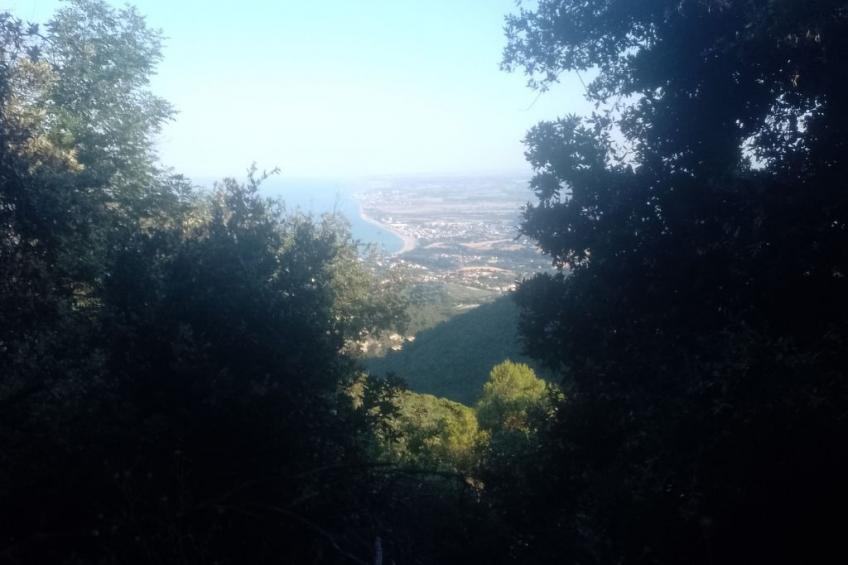 Wohnung "Riviera del Conero - foto 11