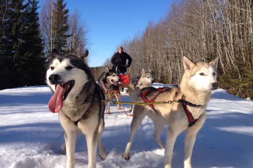 Villa Cottage - foto 19