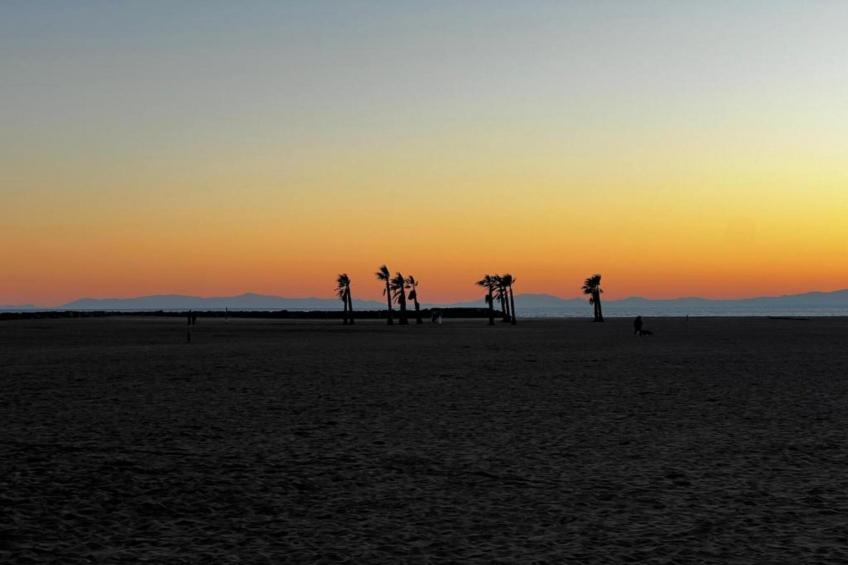 La Dune N°75 - Villa 3P6 - foto 33