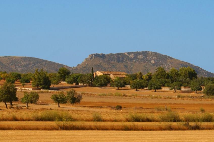 Finca "Son Pereto" mit privatem Pool - foto 25