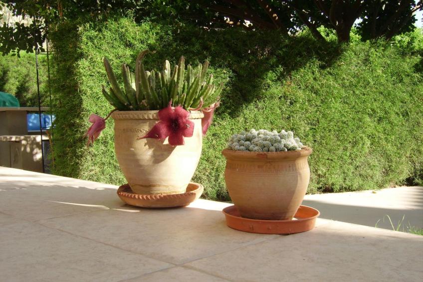 für fünf Personen mit Balkon - foto 25