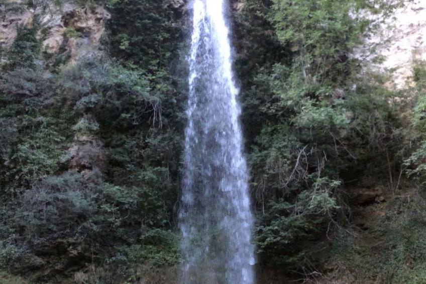 Domäne auf dem Bauernhof - foto 37