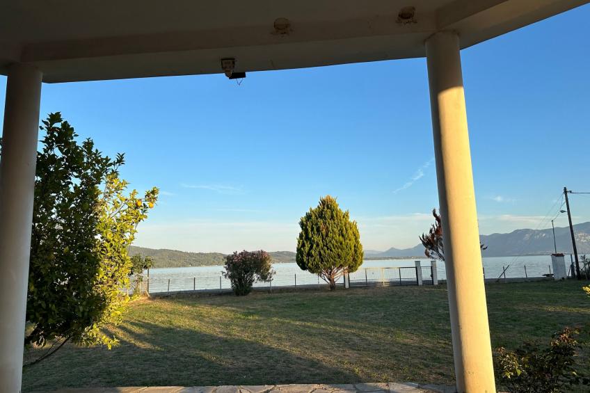 Tanjas Paradise - foto 12