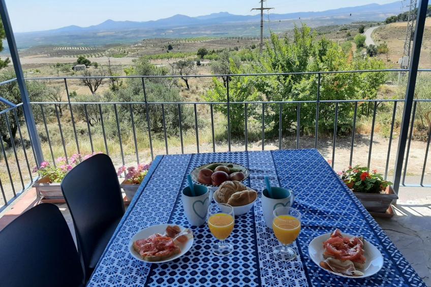 Weingut "Garnacha de Borja". - foto 50