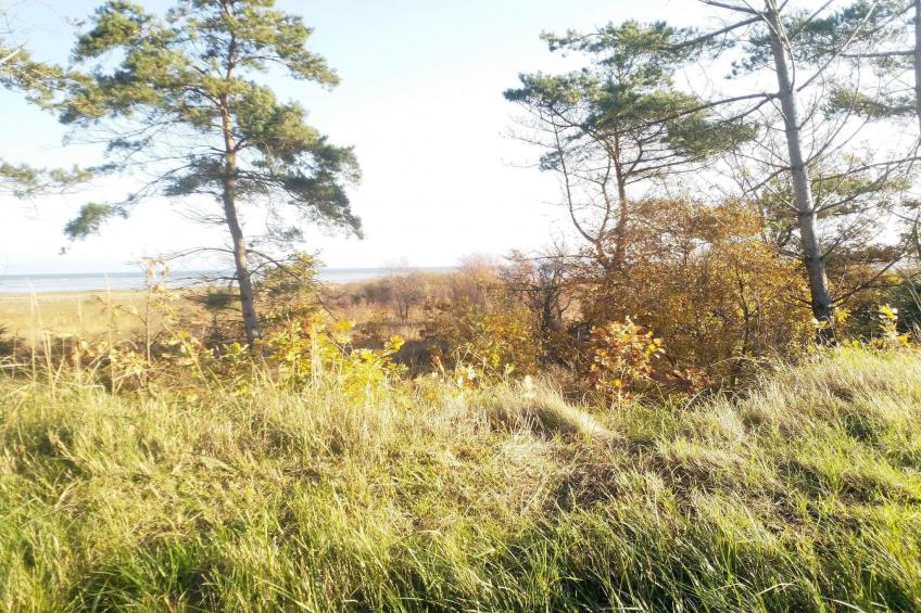 BF-K4CM6 - foto 25