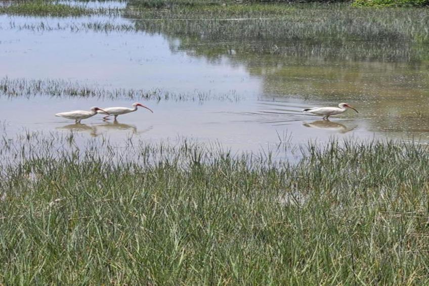 Résidence La Clé des Cimes 1 - foto 35