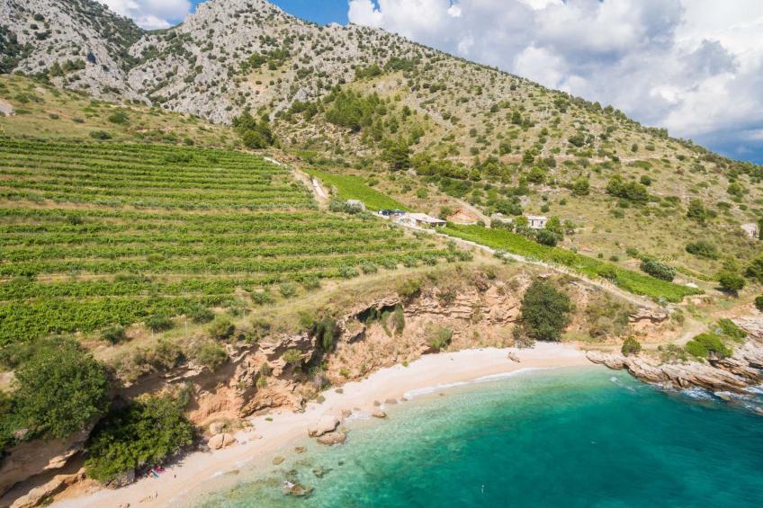 "Paradise Beach Retreat"