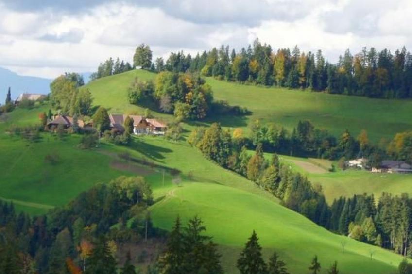 Bauern-Spycher - foto 15