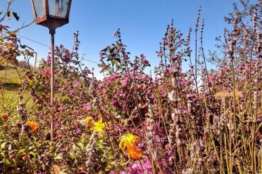 Piccola casa romantica - foto 7