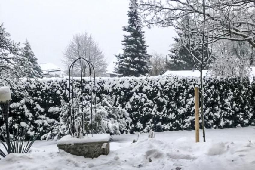 Großzügige Ferienwohnung mit Balkon - foto 5
