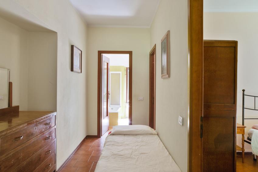 Rododendro - foto 11