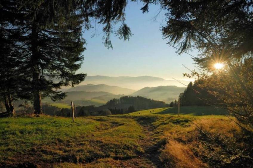Schwarzwald - foto 38