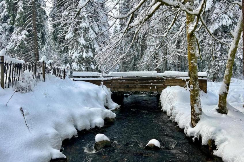 La Marmotte - foto 20