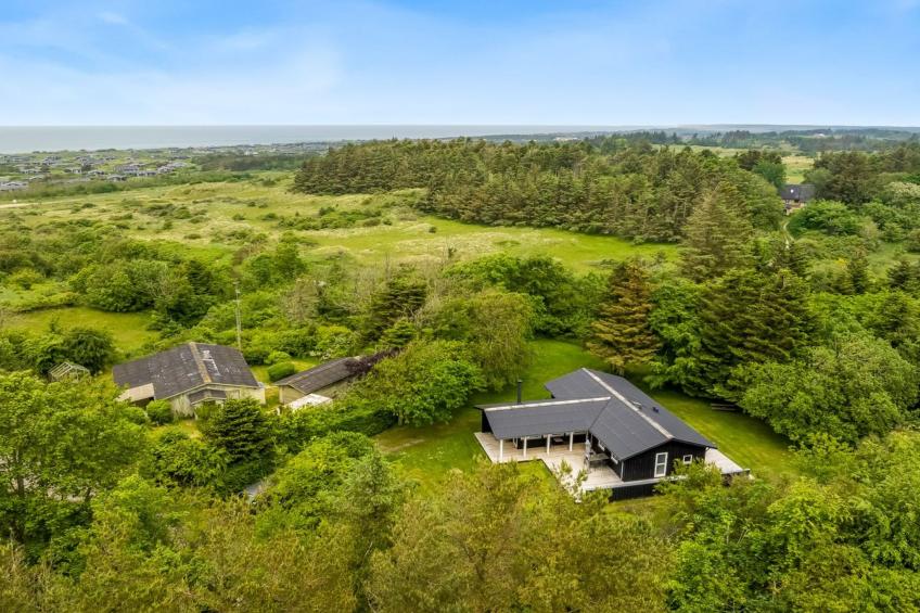 "Jarno" - 1km from the sea in NW Jutland - foto 11