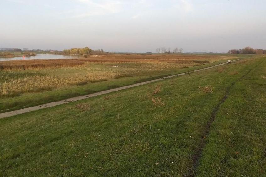 Haus Am Emsdeich - foto 25