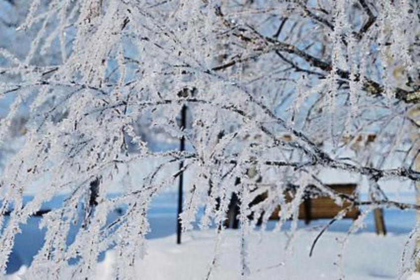 Koivuniemi - foto 12