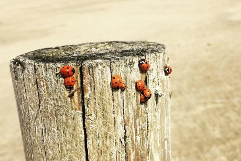 Ankerplatz - foto 28