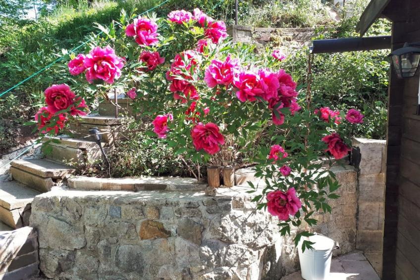 Finnisches Holzhaus - foto 28