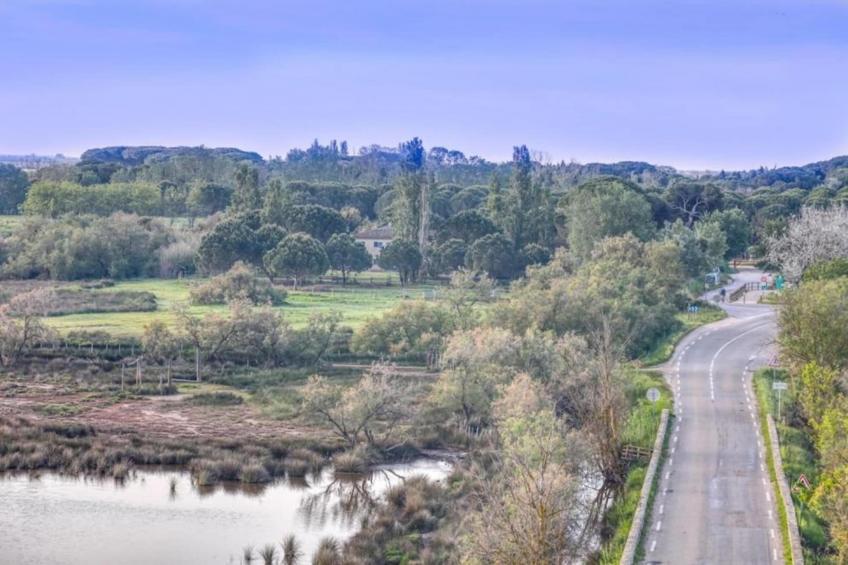 Résidence le Mas des Flamants - foto 22