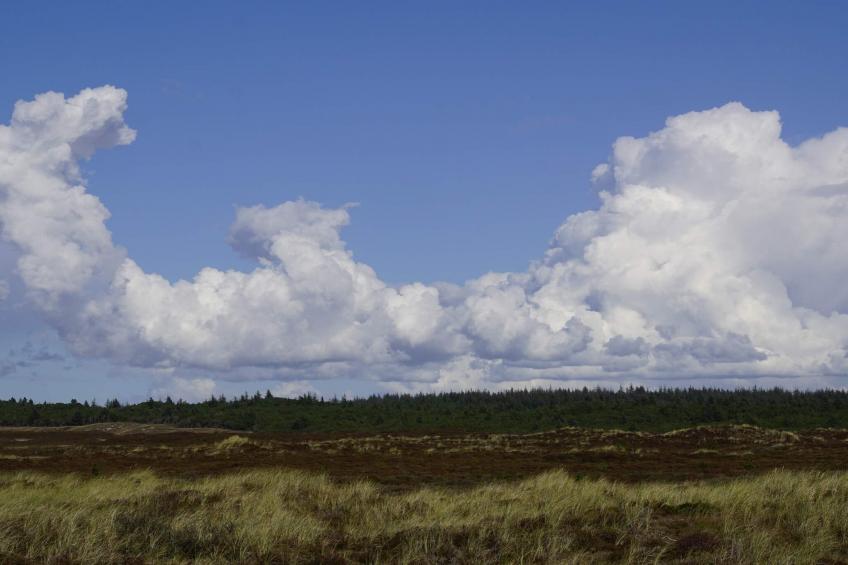 MOTEL UDSIGTEN - foto 12