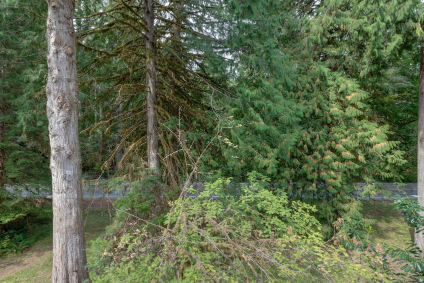 Wohnung "18SLL" mit Bergblick - foto 18