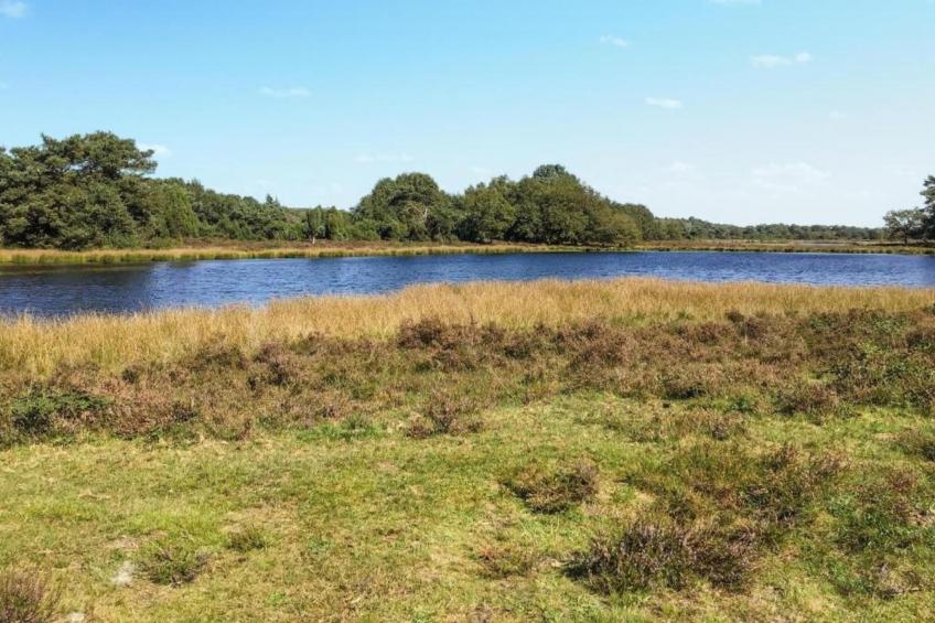 Dwingelderveld Dichtbij - foto 39