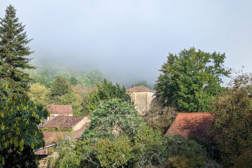 im Herzen des Périgord Noir in der Nähe von Limeuil - foto 28