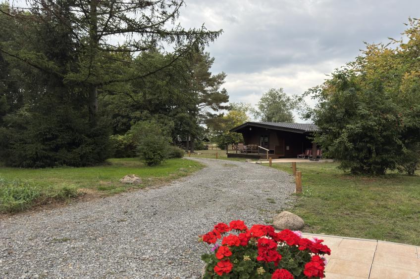 Lüneburger Heide - foto 35