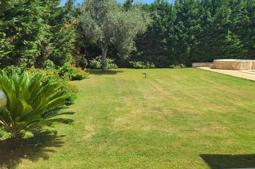 'Villa Vivi - foto 116