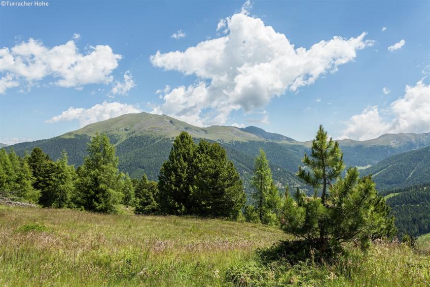 Alpenpark Turracherhöhe - foto 16