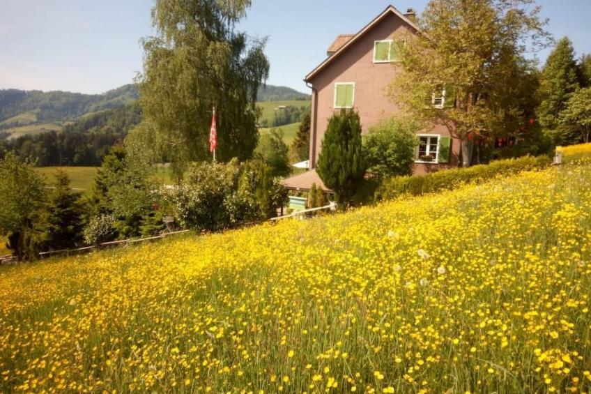 Haus Chrumis - foto 4