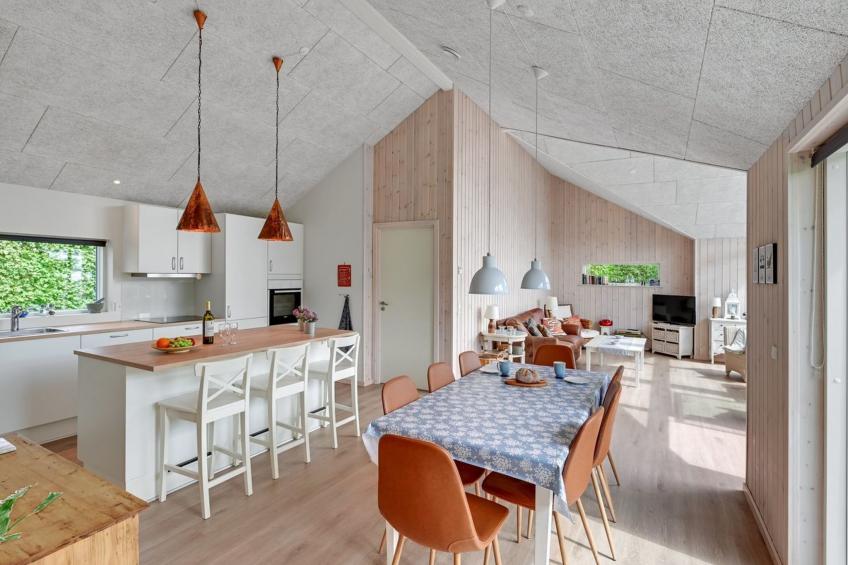 "Regni" - 300m to the inlet in The Liim Fiord - foto 34