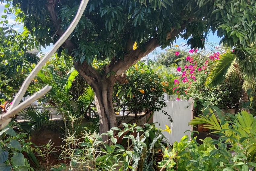 r garden Pointe aux sables - foto 19