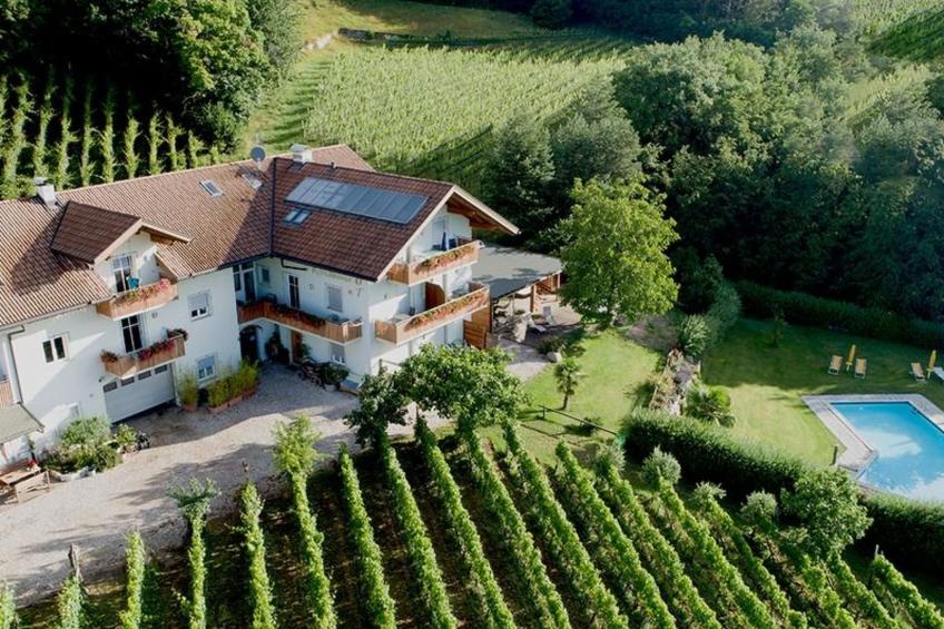 Gala+ Vernatsch - foto 2