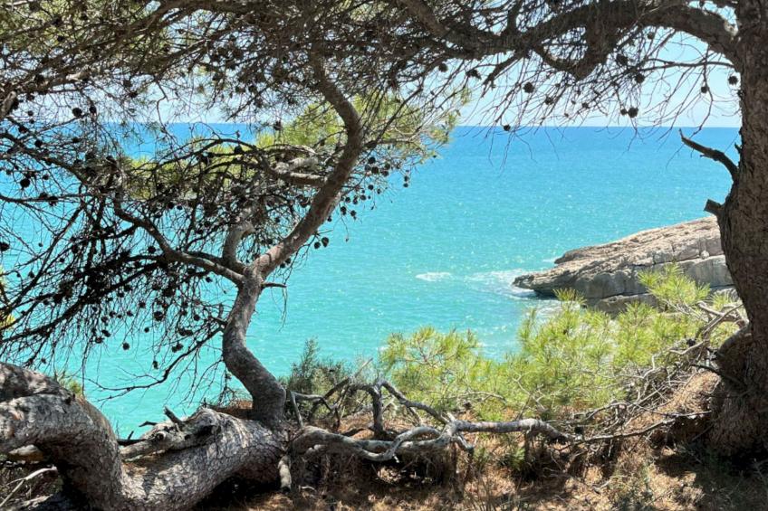 TerrazaAzul-Penthouse apartment sea view - foto 29